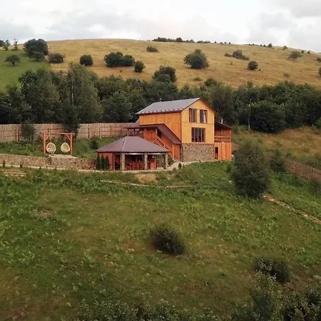 трембіта з сауною та чаном Villa *