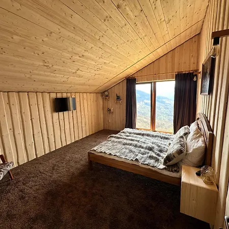 трембіта з сауною та чаном Villa *