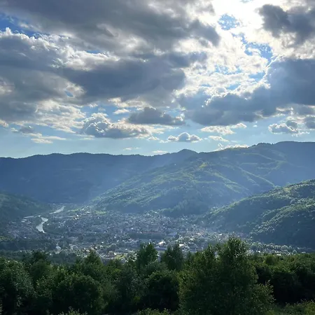 трембіта з сауною та чаном *