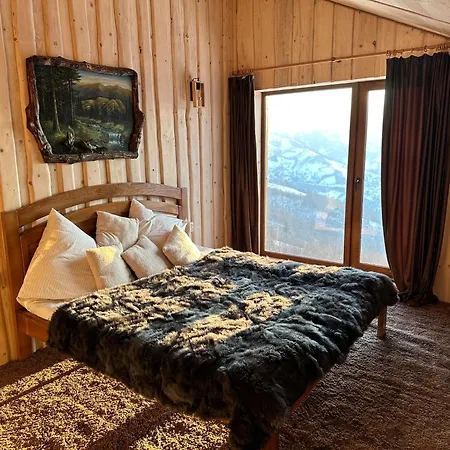 трембіта з сауною та чаном Villa