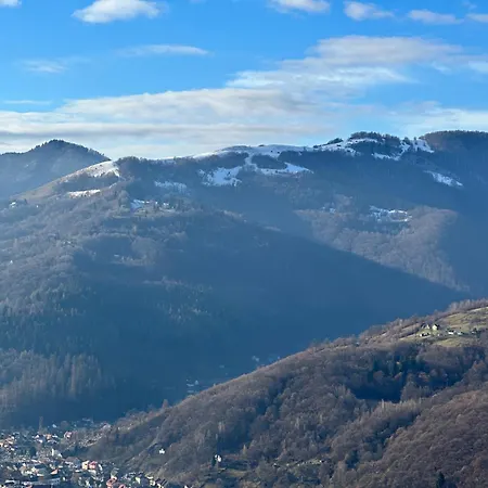 трембіта з сауною та чаном Rachiw